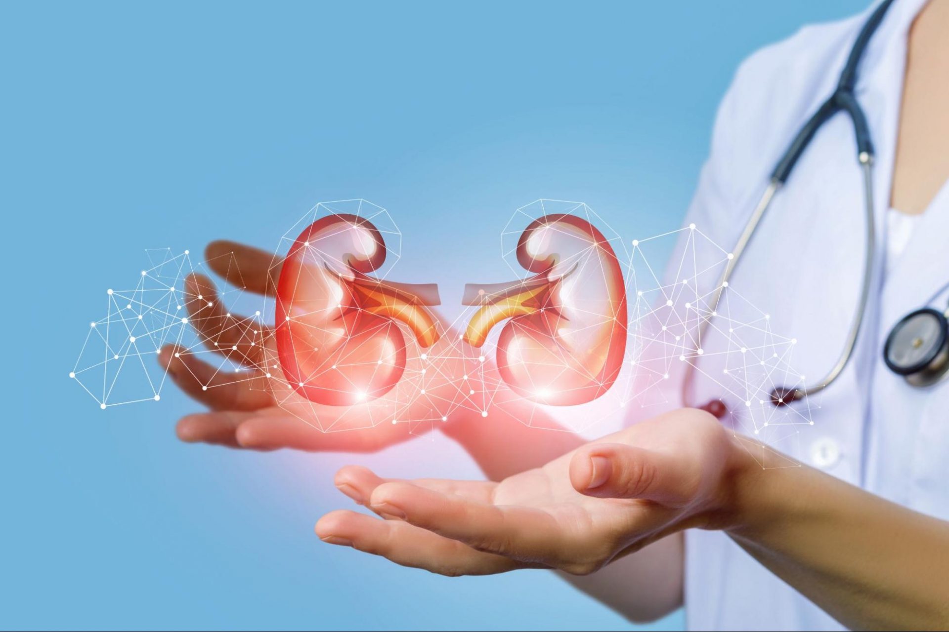Difference Between Urologist and Nephrologist
