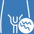 Best treatment for Penile (penis) Disease at MITR Urology Associates and Hospital in Navi Mumbai, with centres at Panvel, Kharghar, Ulwe, and Vashi.