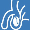 Best Testicular diseases treatment at MITR Urology Associates and Hospital in Navi Mumbai, with centres at Panvel, Kharghar, Ulwe, and Vashi.
