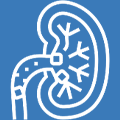 Best treatment for urinary stones at MITR Urology Associates and Hospital in Navi Mumbai, with centres at Panvel, Kharghar, Ulwe, and Vashi.